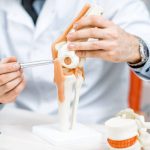 Close-up of the therapist showing knee joint model during the medical consultation